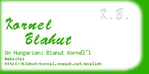 kornel blahut business card